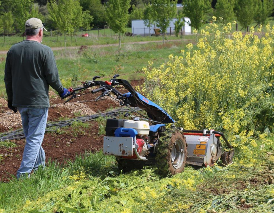 BCS Flail Mower in action
