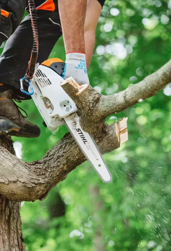 しろごまXS-S LARSON Southport 36-in x 81-in White Aluminum Reversible Hinge