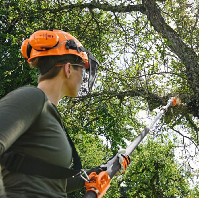 STIHL HTA 135 Cordless Pole Pruner 