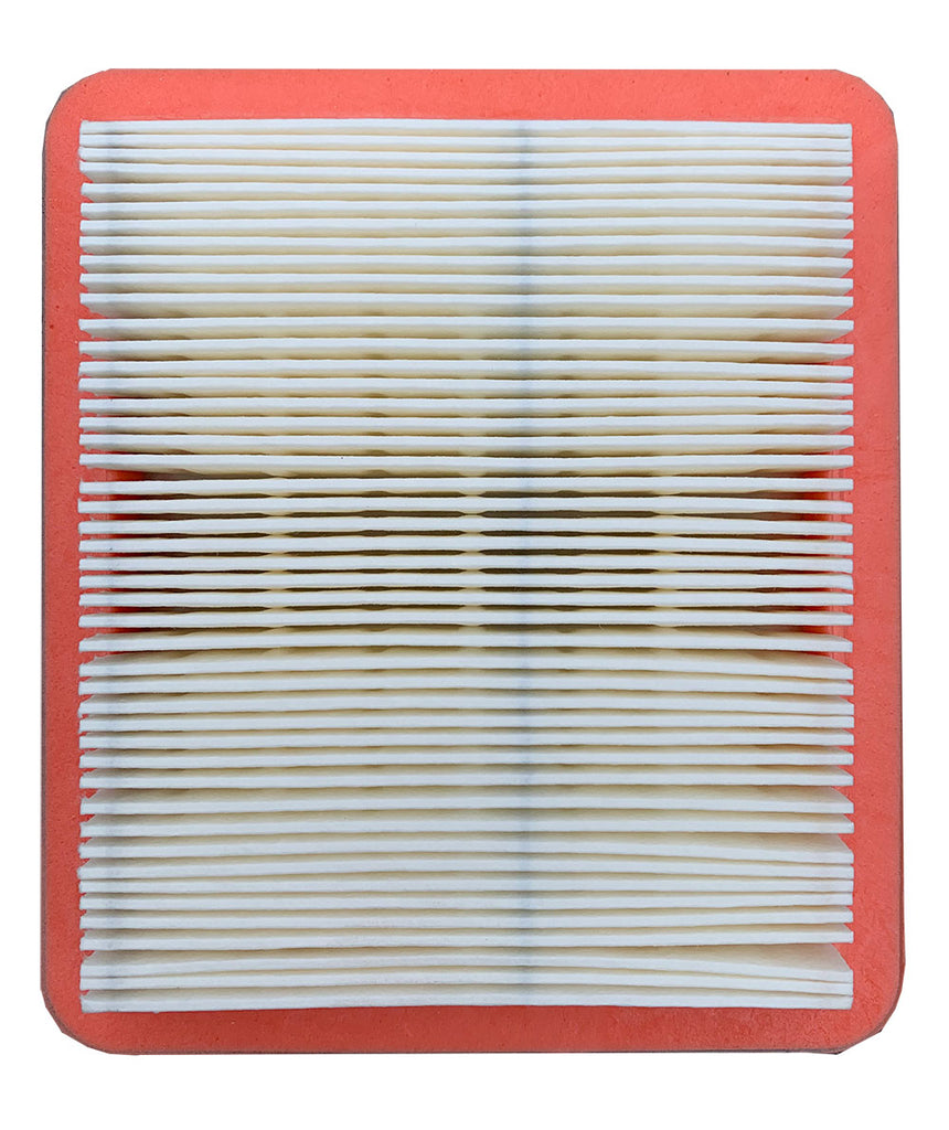 Honda 17211Z8B901 Air Filter